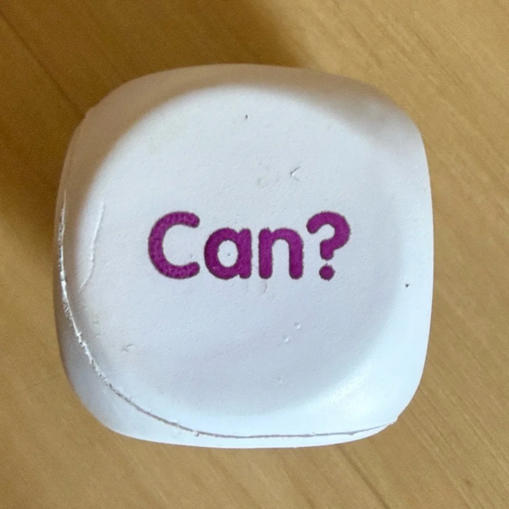 KAGAN QUESTION FOAM DICE CLASS SET (8-OF DICE) THINKING QUESTIONS READING